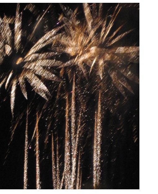 Image of fireworks exploding from Blackheath firework display 2010